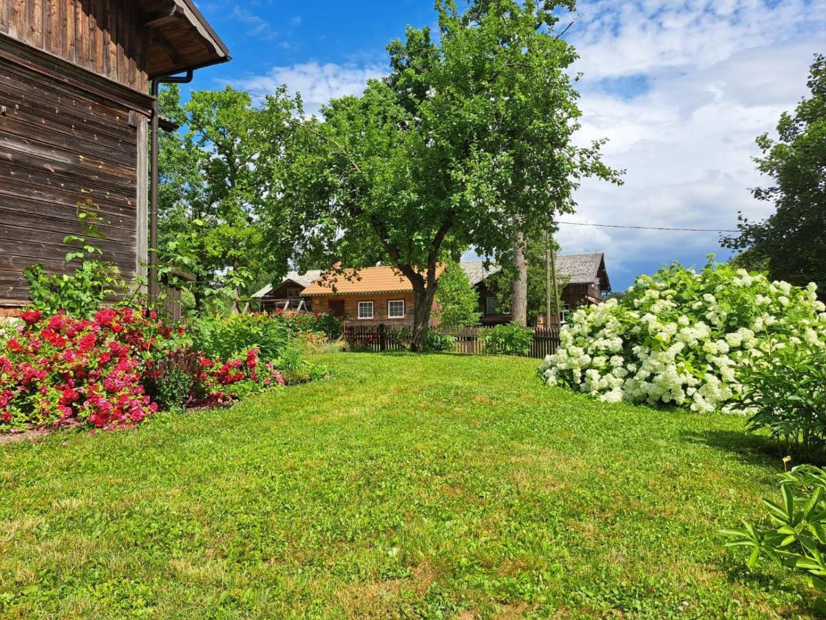 Līgatne Turisma Mitne Zviedri 아파트 외부 사진
