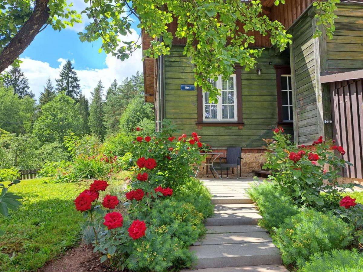 Līgatne Turisma Mitne Zviedri 아파트 외부 사진